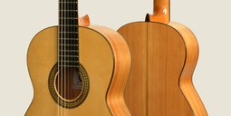 M-5 - Guitarras Camps