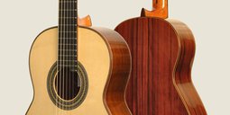Master Madagascar - Guitarras Camps